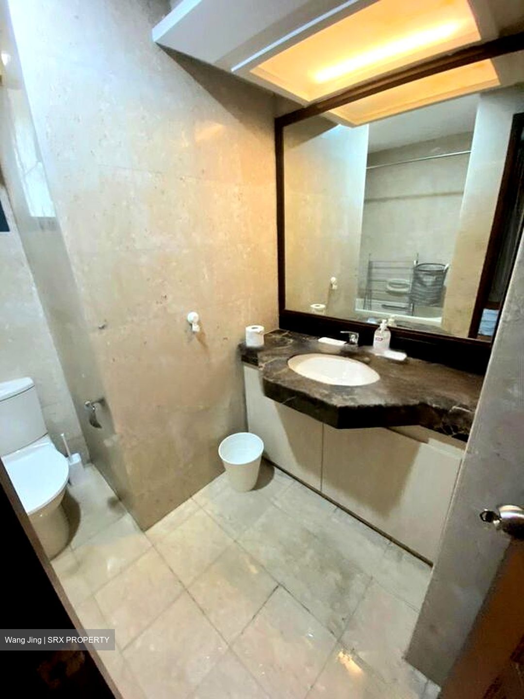Carissa Park Condominium (D17), Condominium #485672171